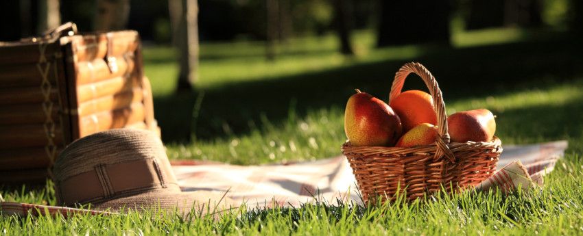 Magazin - 10 conseils vacances jardin